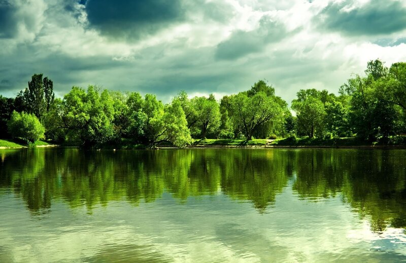 Green Trees by Lake — Dramatic
