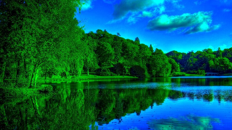 Green Trees by Lake — Serene, Afternoon