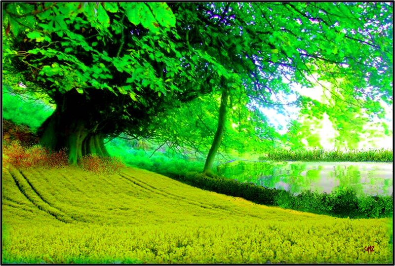 Green Trees by Pond