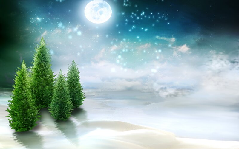 Green Trees in Snow