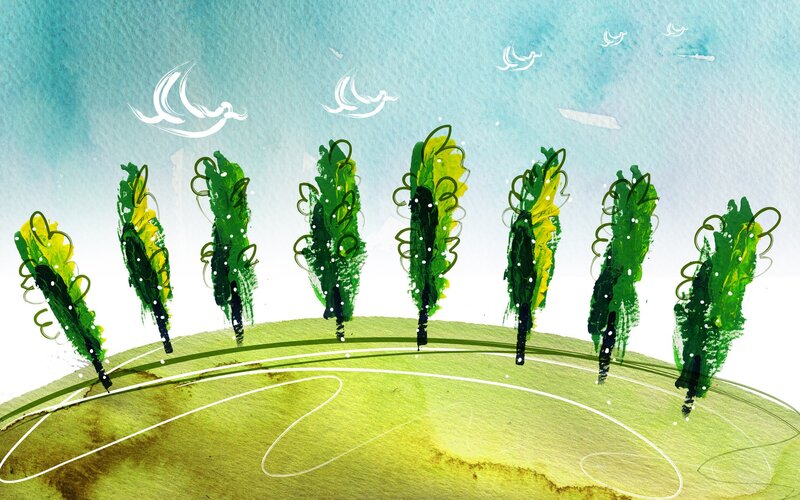 Green Trees on a Hill — Serene