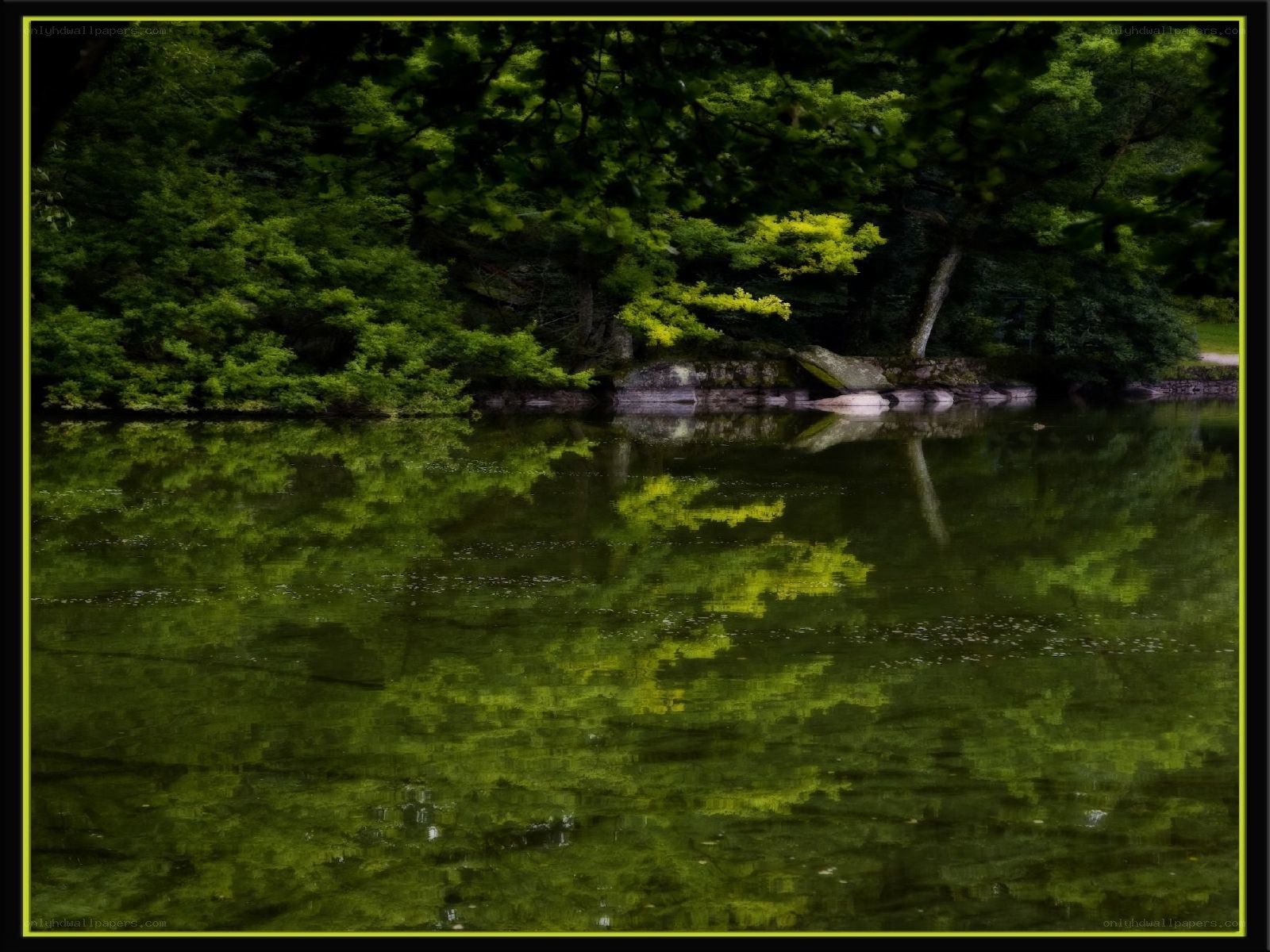 Green trees reflected in a lake