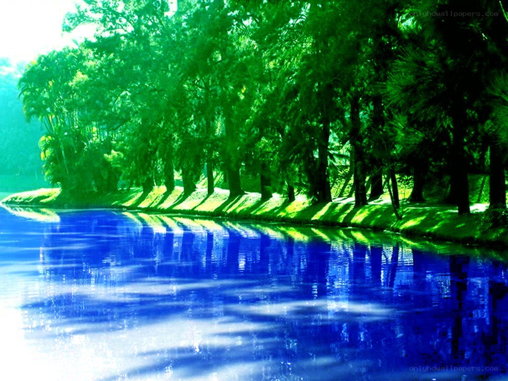 green trees reflected in blue water