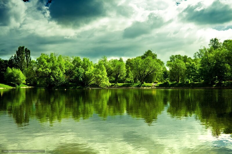 Green Trees Reflecting in a Lake