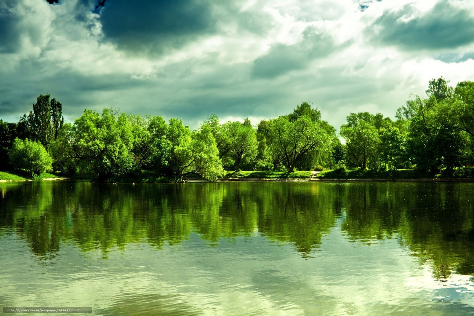 Green Trees Reflecting in a Lake