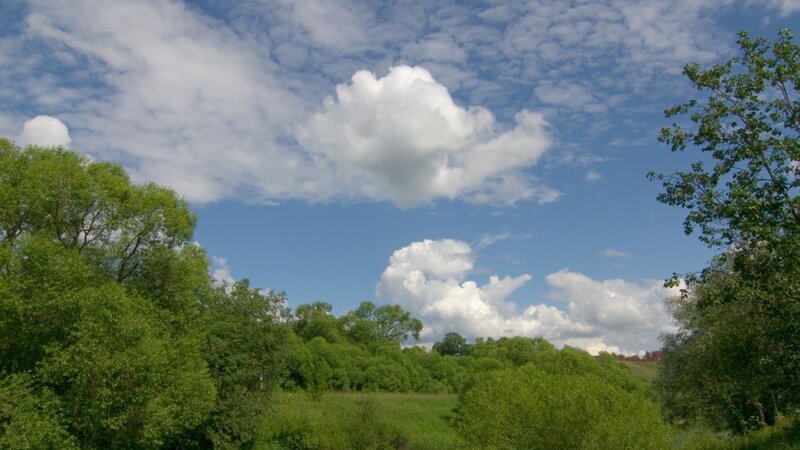 Green Trees under Clouds