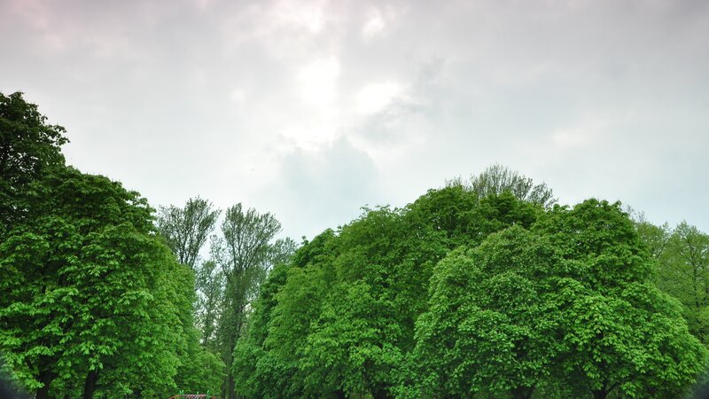 green trees under cloudy sky