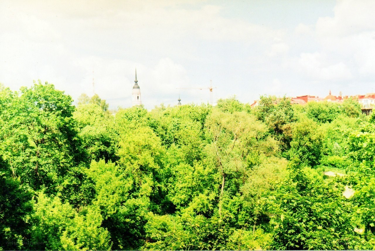 Green trees with church spire