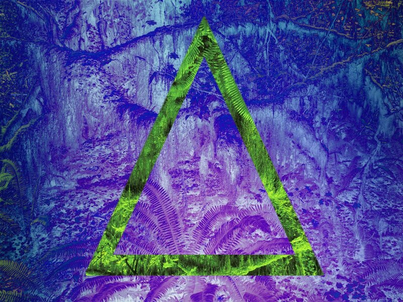 Green Triangle in Forest