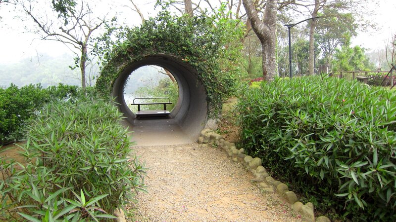 Green Tunnel in Park