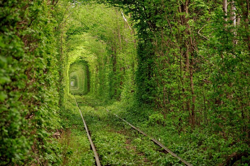 green tunnel of love
