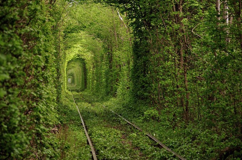 green tunnel of love