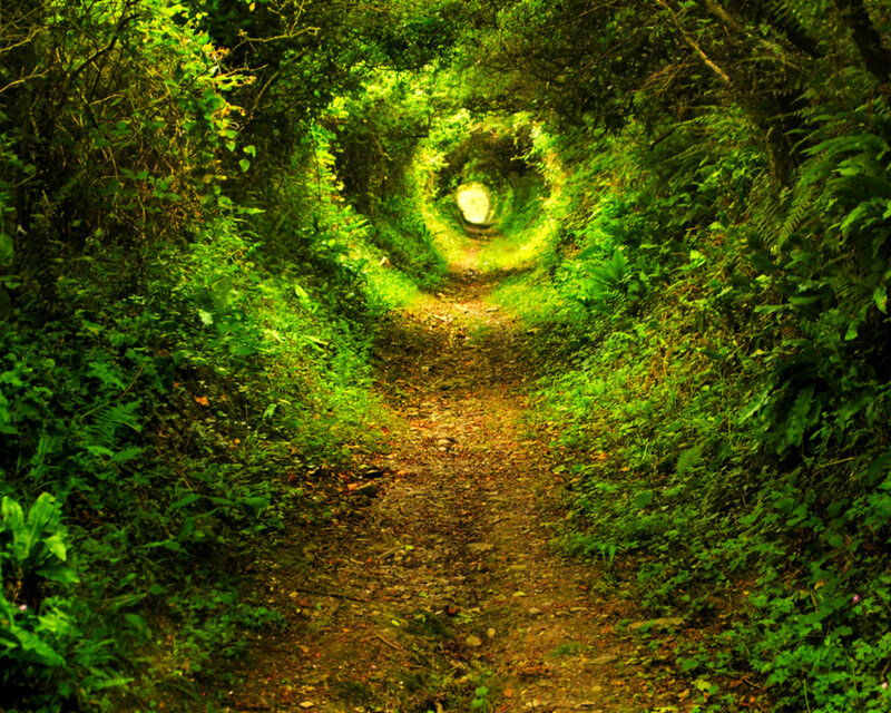 Green Tunnel Path