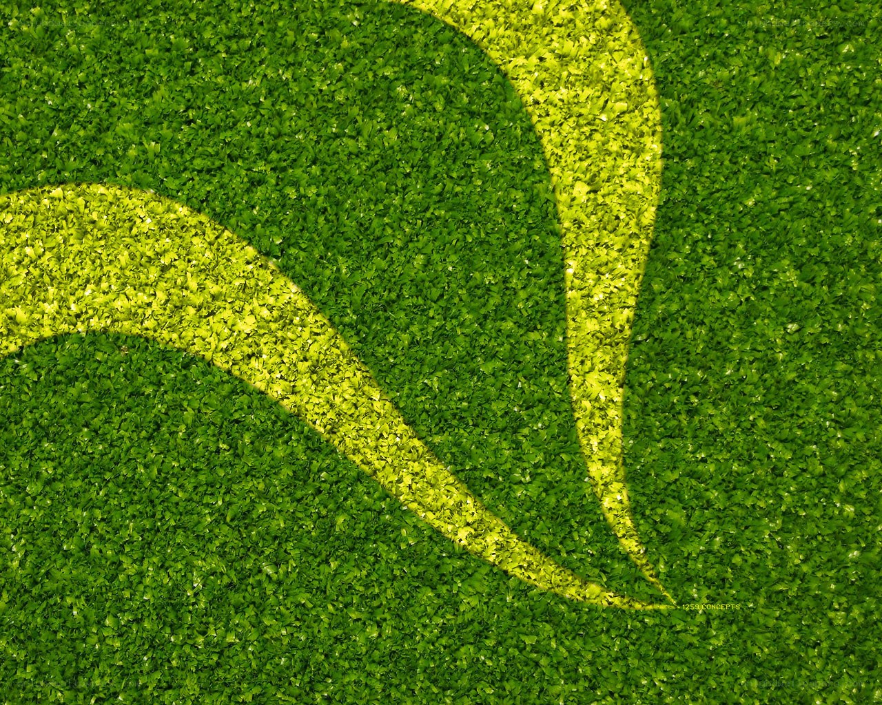 Green turf with yellow lines