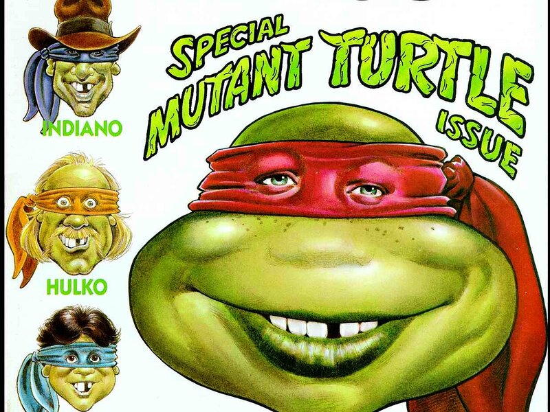 Green Turtle Character — Humorous