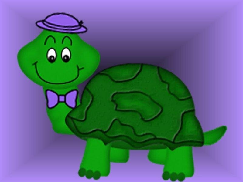 Green Turtle Wearing Hat