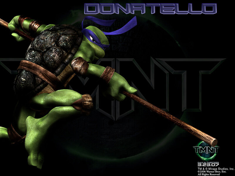 Green Turtle with Purple Bandana