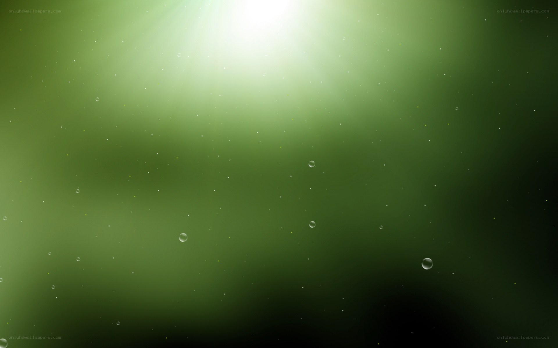green underwater scene