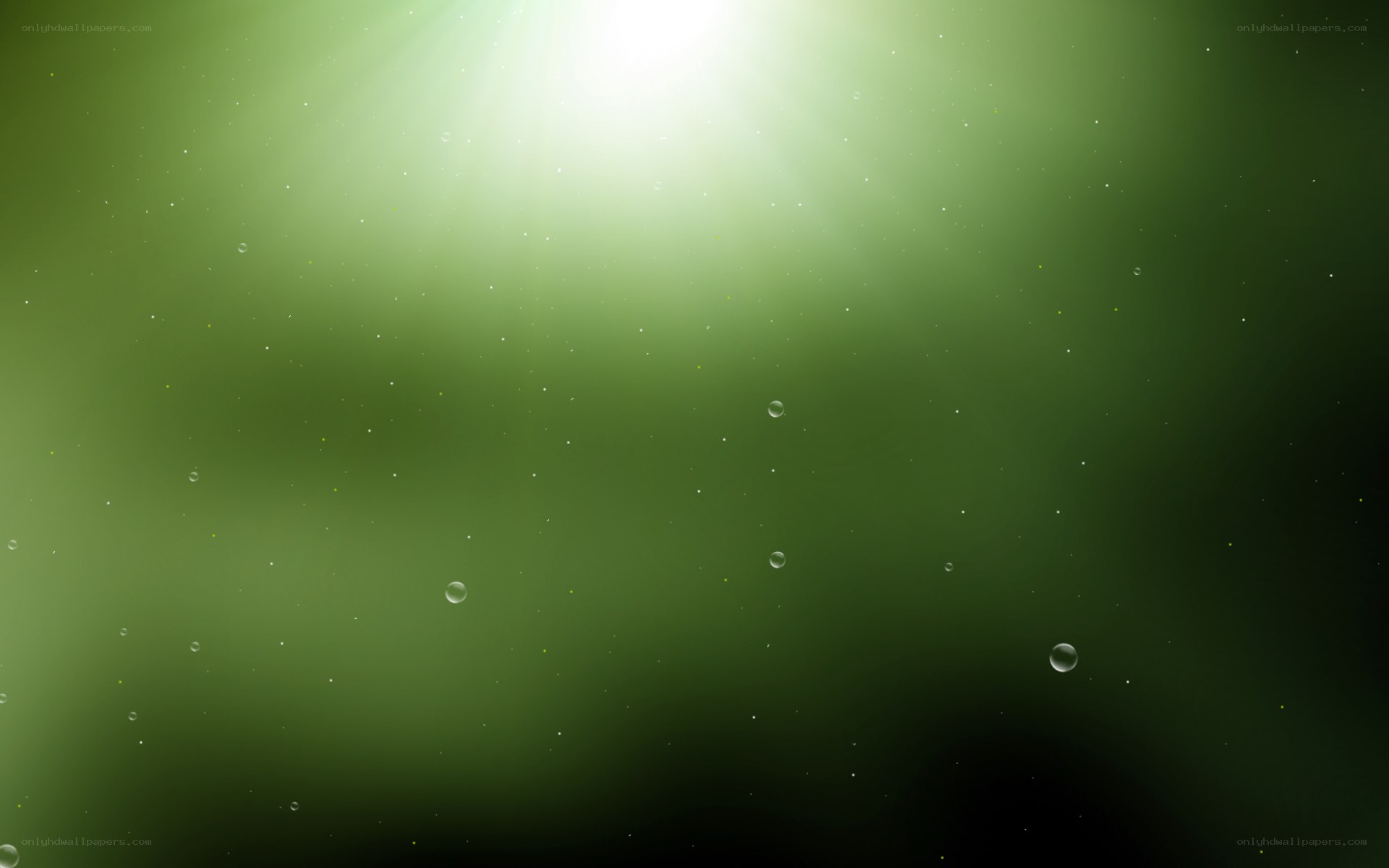 green underwater scene