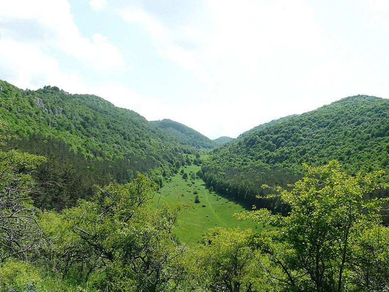 Green Valley Between Hills — Serene