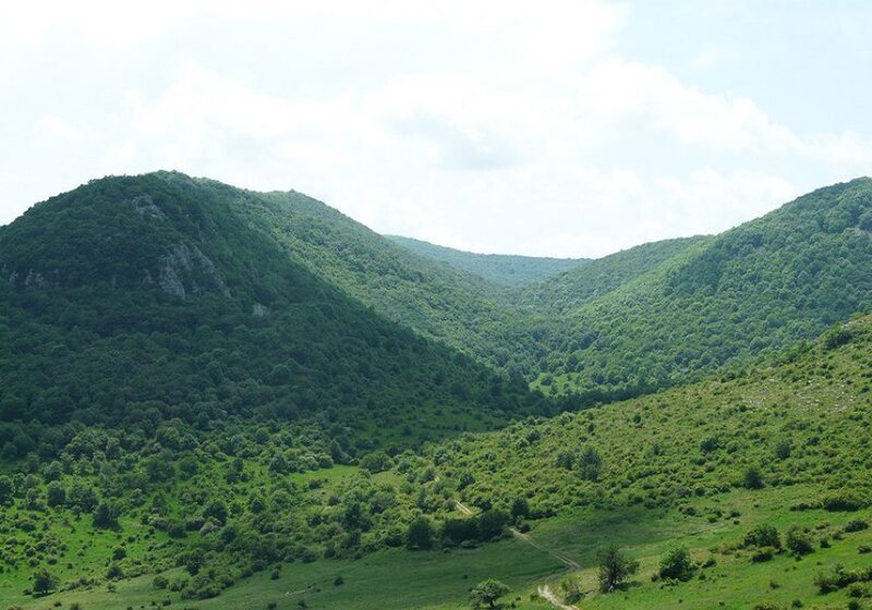 green valley between hills