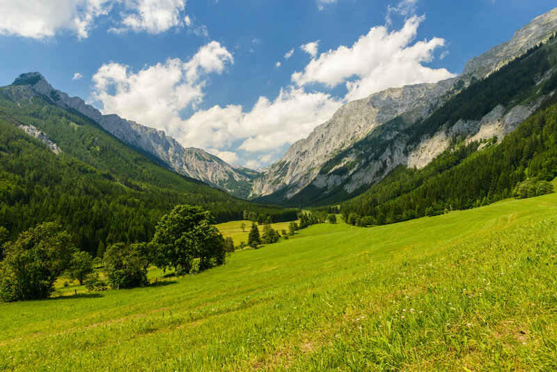 Green Valley Between Mountains — Serene, Afternoon, Photograph, Trees