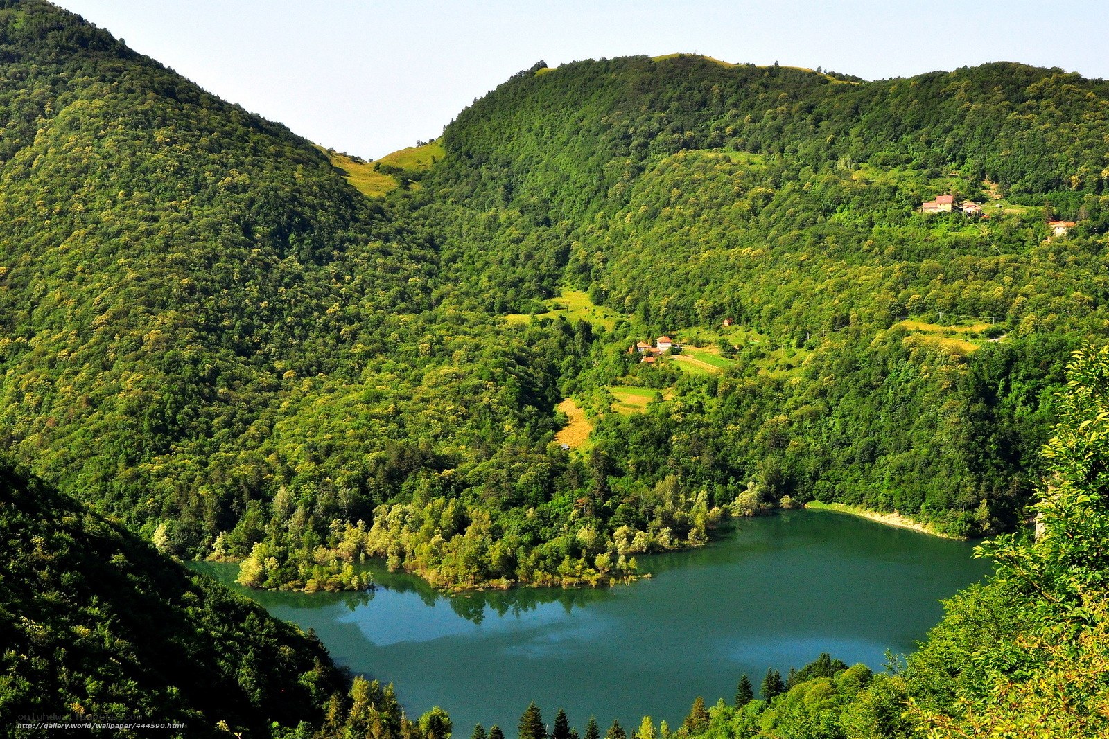 Green valley lake landscape
