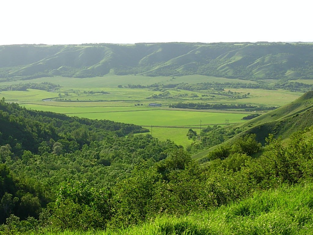 Green valley landscape