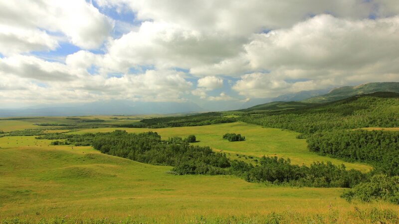 Green Valley Landscape — Serene, Afternoon, Photograph, Hills, Trees