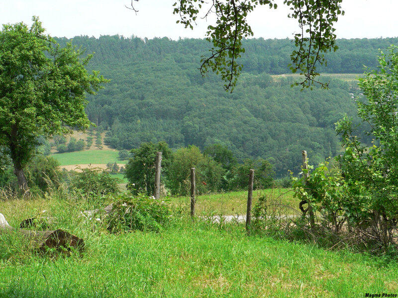 Green Valley Landscape — Serene, Afternoon, Photograph, Trees, Fence