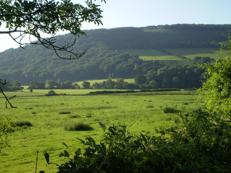 Green Valley Landscape — Serene, Morning