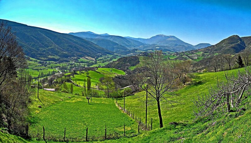 Green Valley Landscape — Serene, Spring, Photograph