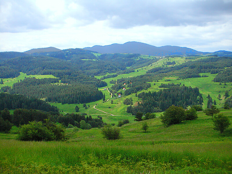Green Valley Landscape — Serene