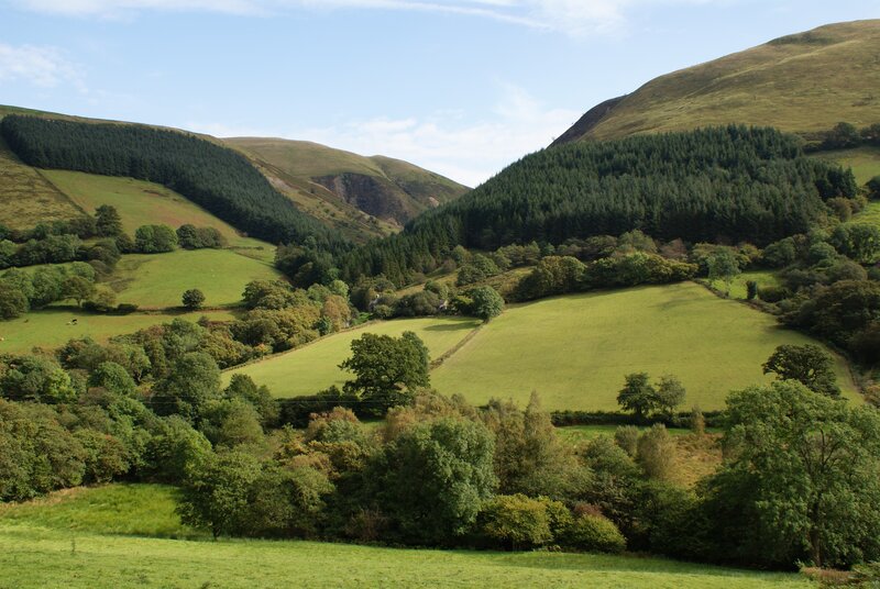 green valley landscape