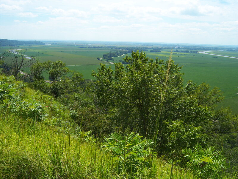 Green valley landscape view