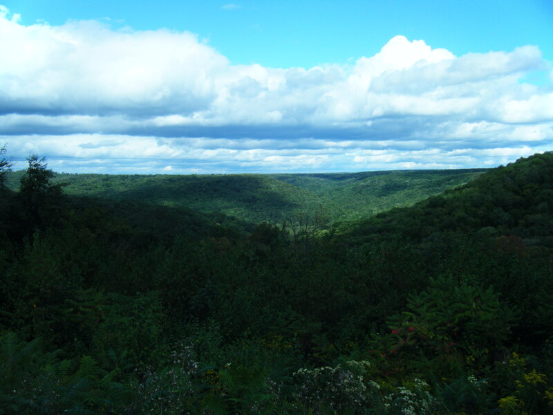 Green valley under cloudy sky