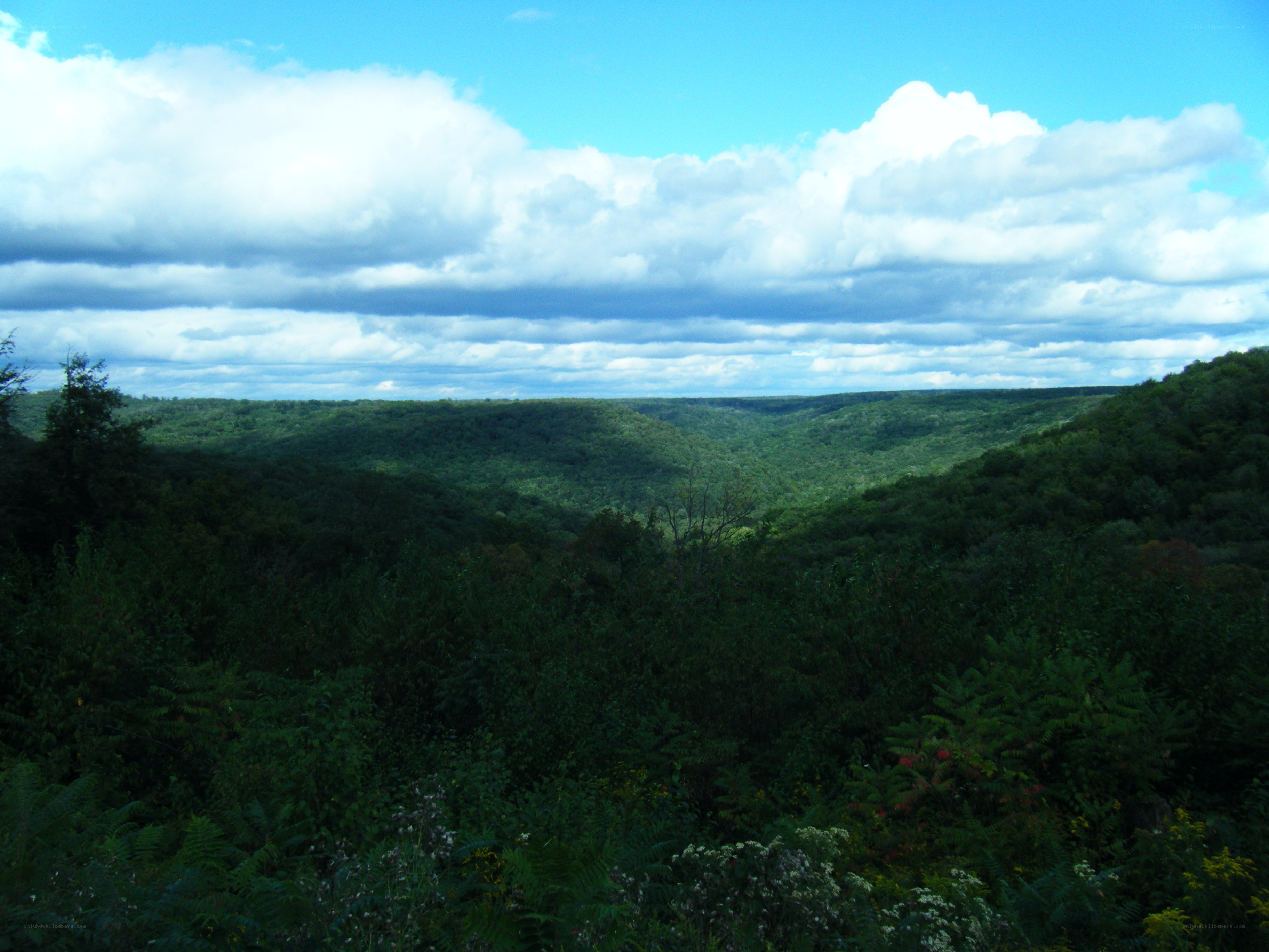 Green valley under cloudy sky