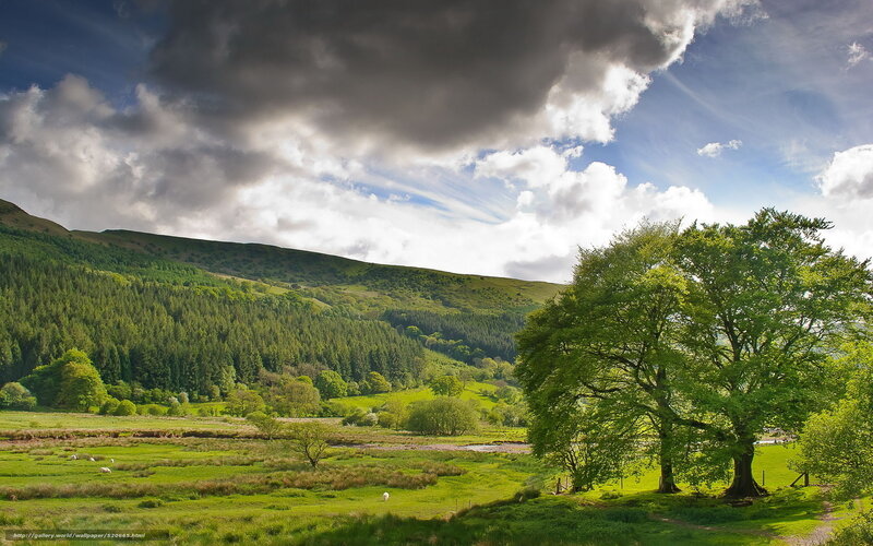 Green valley under cloudy sky