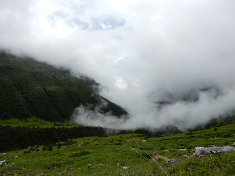 Green Valley with Clouds — Misty