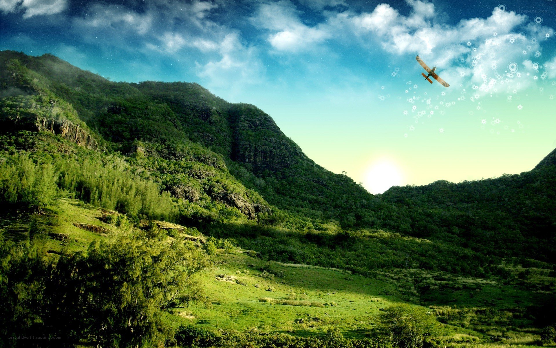 Green valley with flying plane