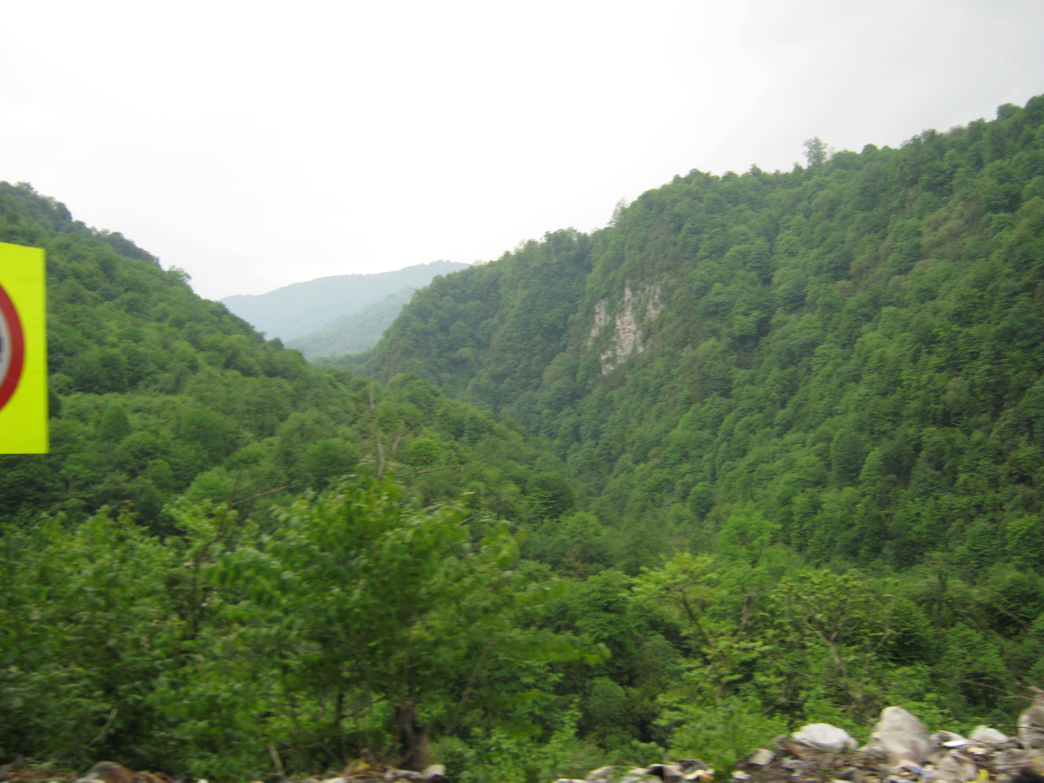 green valley with forested hills