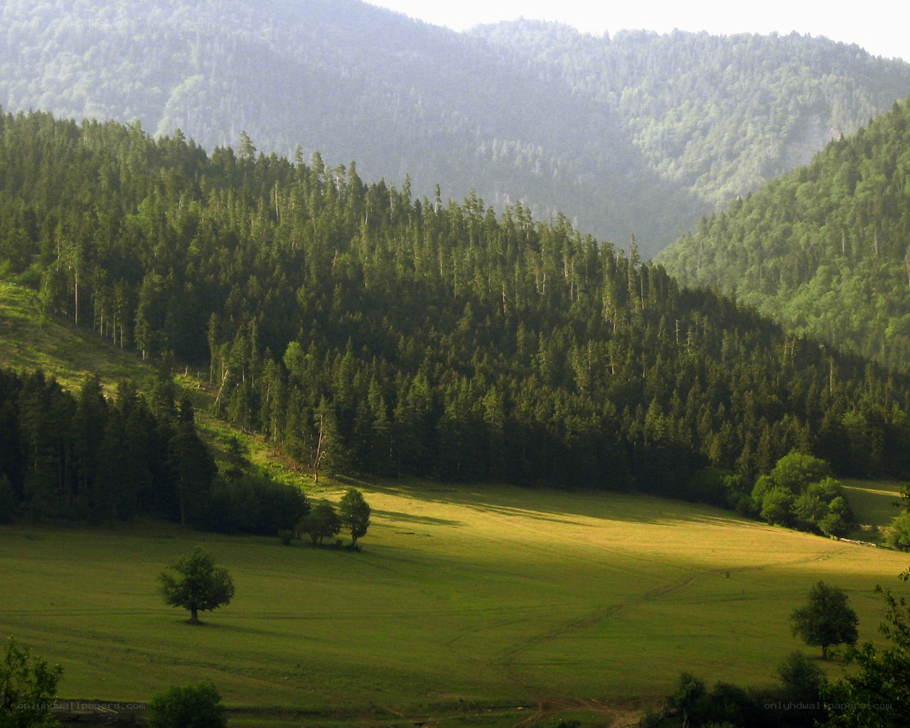 Green valley with forested mountains