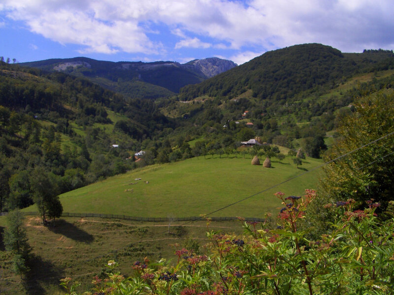 Green valley with hay bales