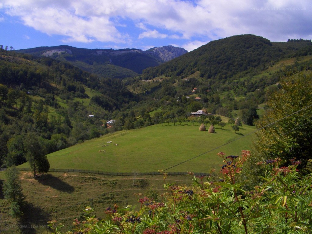 Green valley with hay bales