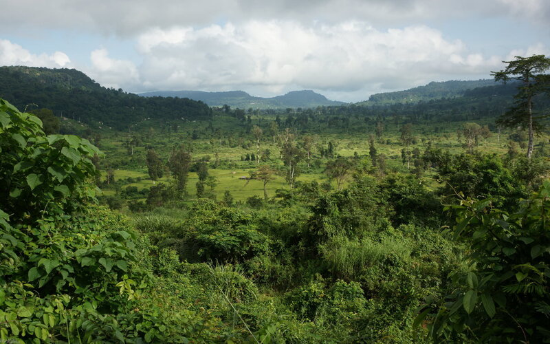 Green Valley with Hills — Serene