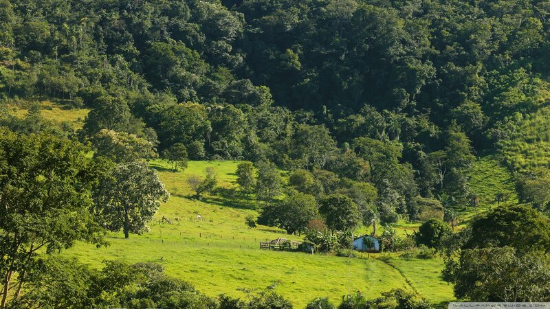 Green Valley with House