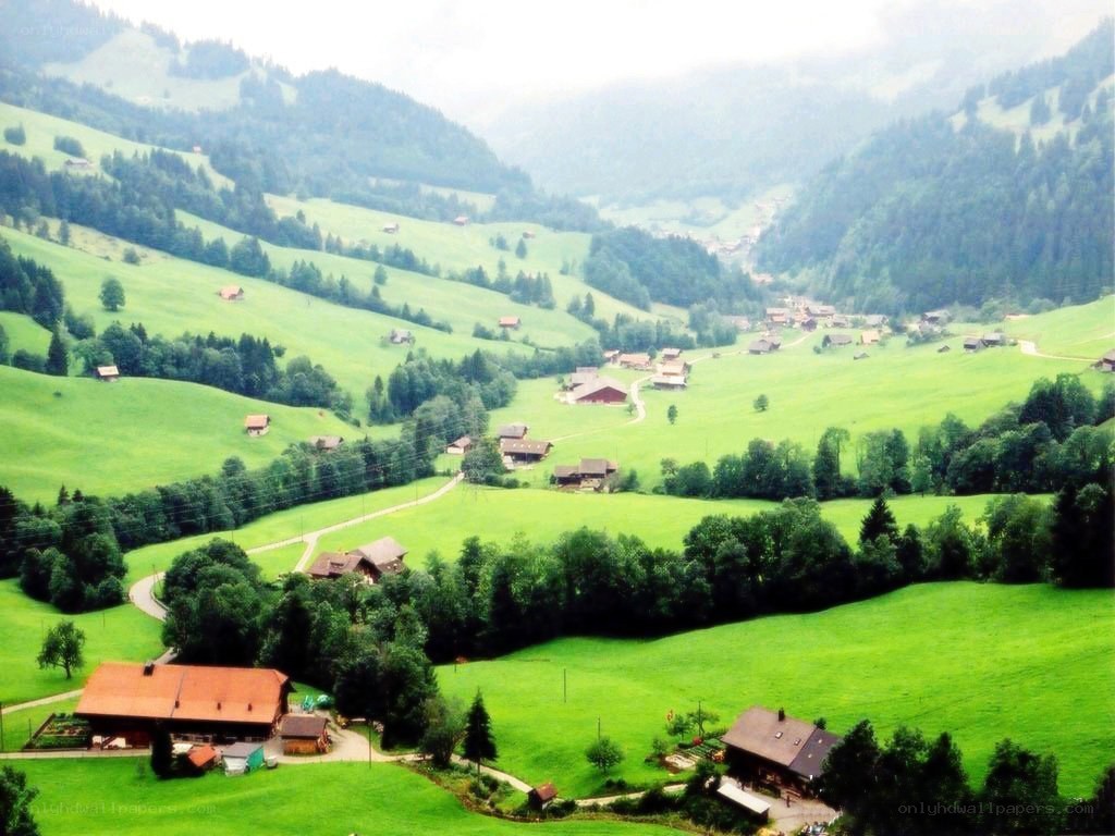 green valley with houses
