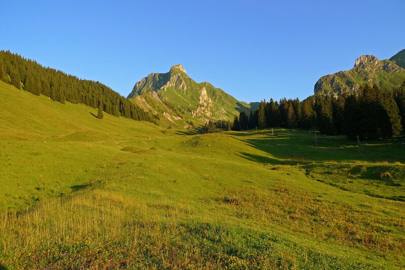 Green valley with mountain peaks