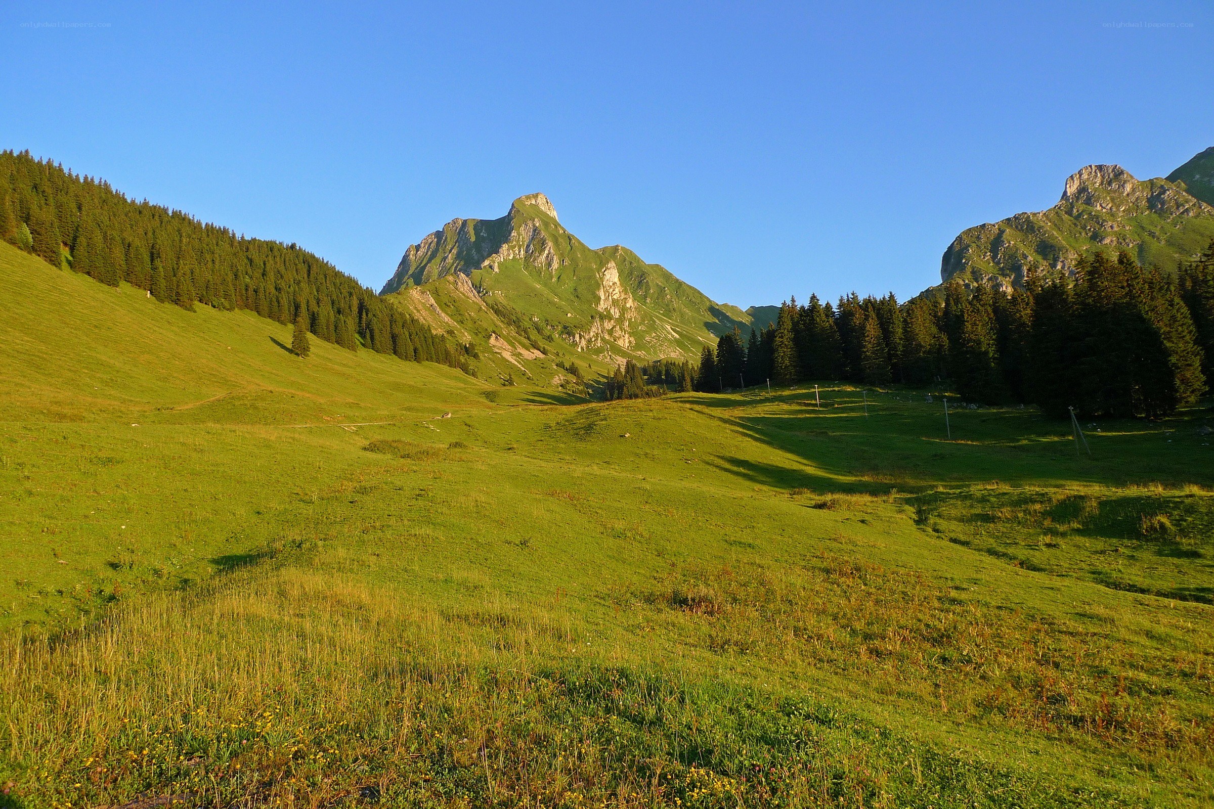 Green valley with mountain peaks