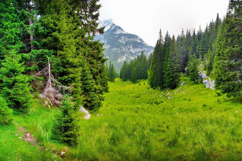 Green Valley with Mountain — Serene, Afternoon
